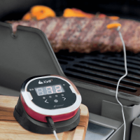 Цифровой термометр iGrill 2