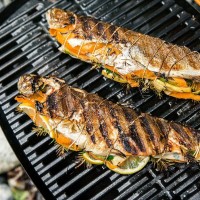 Гриль газовий похідний Weber Q1200 - 51010075