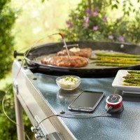 Цифровой термометр iGrill Mini
