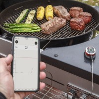 Цифровой термометр iGrill Mini