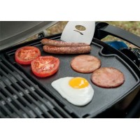 Поддон чугунный для Q 100/1000.